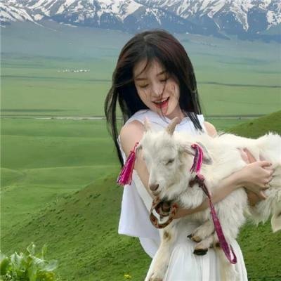 好汉两个半第十季