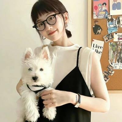 智叻狗仔队